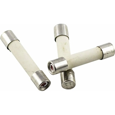 ESKA 527.25 52725 trubičková pojistka (Ø x d) 5 mm x 25 mm 6.3 A 250 V F rychlá Množství 10 ks