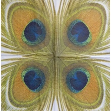 Paper Designe obrúsky Paví oko 33x33cm