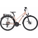 CTM Maxima 1.0 2026