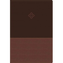 Amplified Study Bible, Imitation Leather, Brown Zondervan