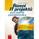 Řízení IT projektů