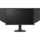 BenQ ZOWIE XL2566X+ 9H.LMRLB.QBE