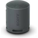 Sony SRS-XB100B