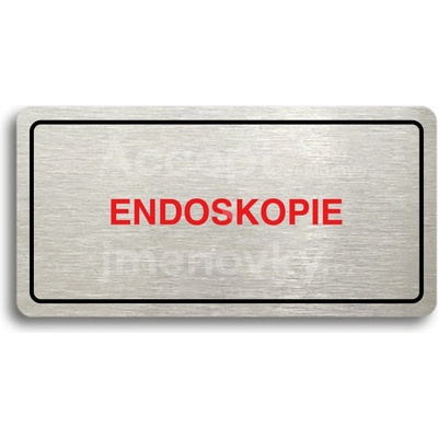 ACCEPT Piktogram ENDOSKOPIE - stříbrná tabulka - barevný tisk