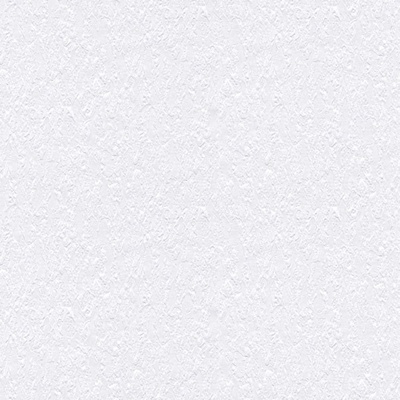 A. S. Création Хартиени тапети за стена shades of white 9423-19