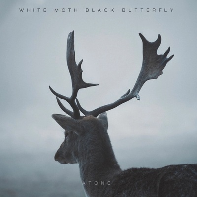 WHITE MOTH BLACK BUTTERFL: ATONE -EXPANDED- CD