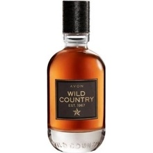 Avon Wild Country toaletní voda pánská 75 ml