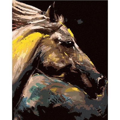 zuty Malování Podle Čísel Portrét Barevného Koně 80 x 100 Cm Plátno Rám