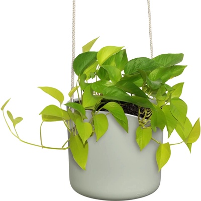 elho Závesný kvetináč b.for swing 18 cm - stone green
