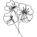 Veronika Boulová Постер 29x41 cm Black Poppy - Veronika Boulová (vboulova.16)