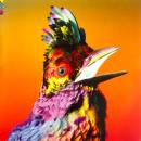 Palaces Flume LP