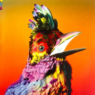 Palaces Flume LP