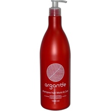 Stapiz Argan'de Moist & Care Shampoo hydratační šampon s arganovým olejem 1000 ml