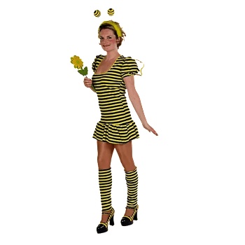 Image 1 of Костюм Пчела размер 38/40