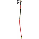 Leki WCR LITE GS 3D 2024/25