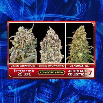 Advanced Seeds Feminized Collection #7 semena neobsahují THC 6 ks