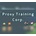 Proxy Training Corp