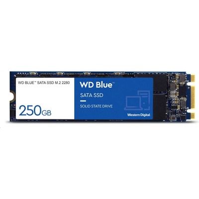 WD Blue SA510 1TB, WDS100T3B0B