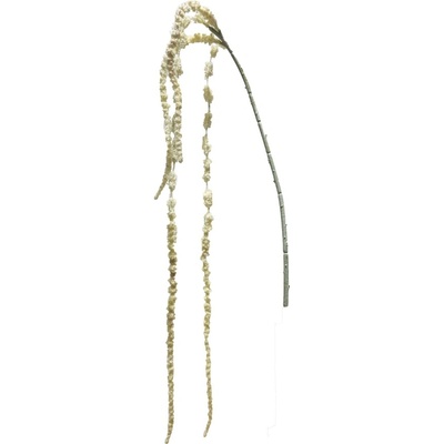 Laskavec ocasatý - Amaranthus caudatus kremový 112 cm