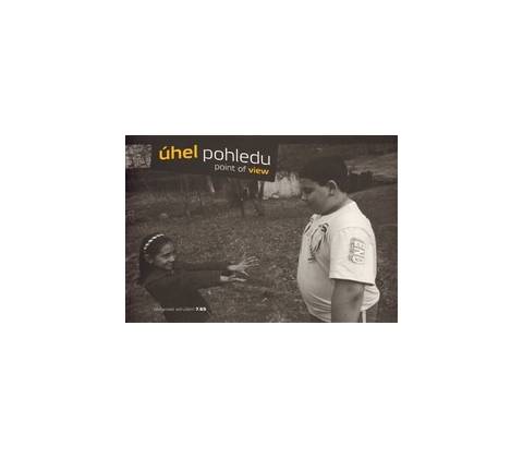 Úhel pohledu