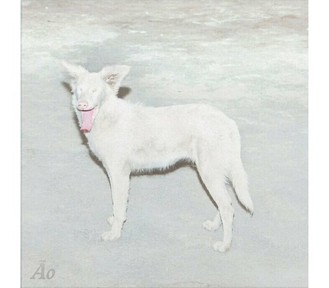 AO - Malandra (Digipak) (CD)