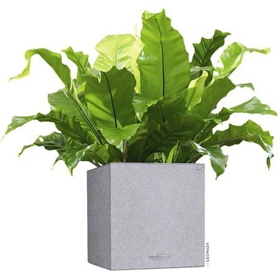Lechuza Samozavlažovací kvetináč plastový Canto Stone 30 x 30 x 30 cm sivý