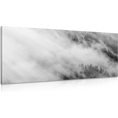 Obraz černobílý mlhavý les - 120x60