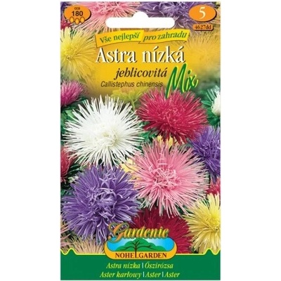 Nohel Garden Astra nízka ihlicovitá, zmes