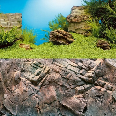 Juwel pozadí Poster 1 S Plant Reef 60 x 30 cm