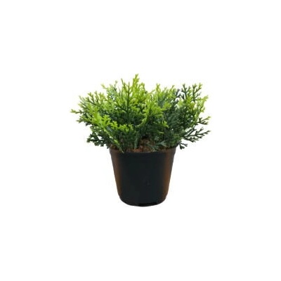 Изкуствен бонсай в саксия 16см kd07152 (3447323)