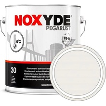 Rust Oleum Antikorozní elastický nátěr Noxyde Pegarust 5 l bílá