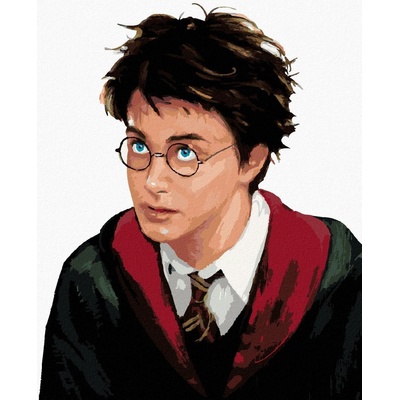 Zuty Harry potter portrét 40 x 50 cm bez rámu a bez vypnutí plátna 8596530132363