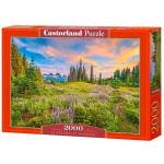 Castorland Puzzle 2000 pieces Blossoms of Morning