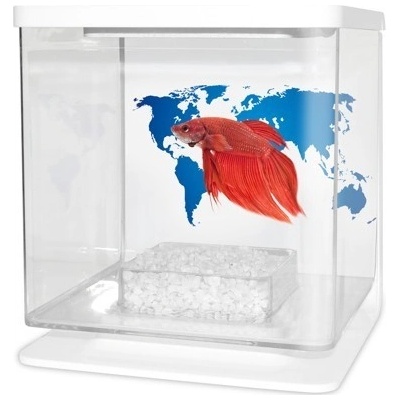 Cat-Gato Betarium Betta kit world map 2 l