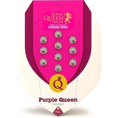 Royal Queen Seeds Purple Queen semena neobsahují THC 3 ks – Zboží Dáma