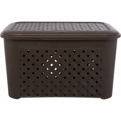 Tontarelli Arianna KIN80000224
