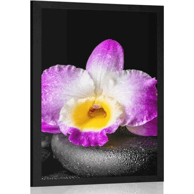 Plakát s paspartou fialová orchidej na Zen kamenech - 40x60 silver