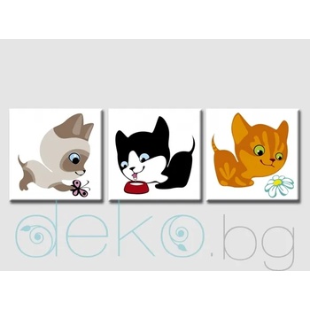 Image 1 of Котета - комплект 3 бр (35004)