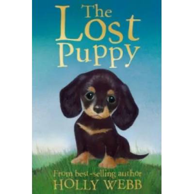 Lost Puppy | Holly Webb