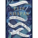 10 Minutes 38 Seconds in this Strange World - Elif Shafak