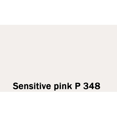 San Marco Paeninsula ULTRAMATT 1 L Digital Sensorial Sensitive pink P 348