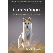Canis dingo