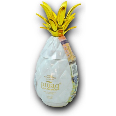 Pinaq Colada Mini 17% 0,05L (čistá fľaša)