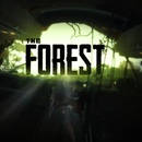 The Forest