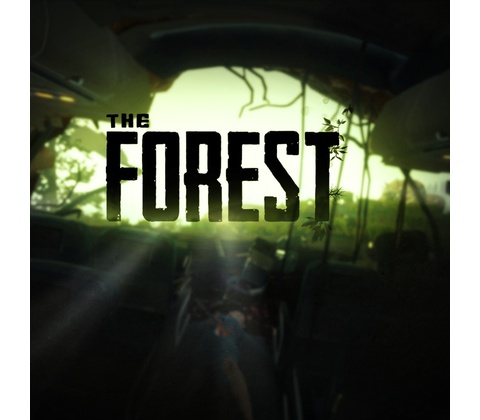 The Forest