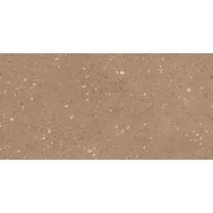 Atlas Concorde Solution Гранитогрес Atlas Concorde Solution Grain Terrazzo Earth 60x120 (HFVR)