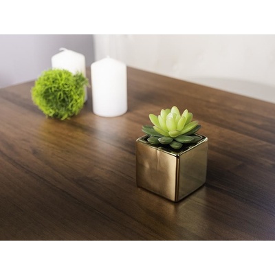 Sukulent MagicHome SA3905 kvetináč