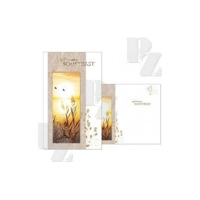 Blahopřání s textem Kondolence T M13-055, MFP Paper