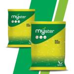  Органичен тор Myster Zolfo 3 с gelACT (биополимер от естествен произход и полизахариди) подпомага задържането на вода и хранителни вещества около корените - 25 кг