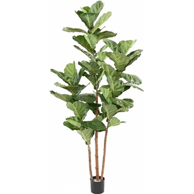 Umelý strom Fíkus Lyrata 3 kmienky, 190cm
